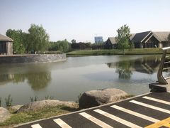 -西安浐灞国家湿地公园
