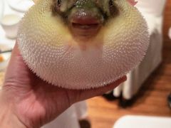 -永安鱼庄·镇江菜(东吴路店)