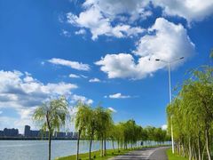 -艾溪湖湿地公园