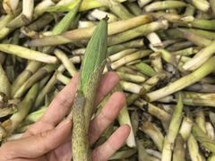 -三锅莊·牦牛肉火锅·香格里拉特色藏餐宴请餐厅(昆明创始店)