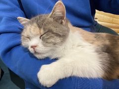 -平行世界·猫咖(首经贸店)