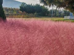 -羊亭河湿地公园