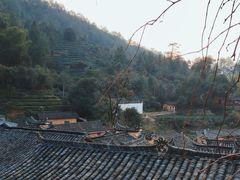 -杨家堂村