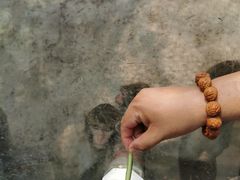 -北京鹿世界主题园