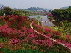 -常德桃花源景区