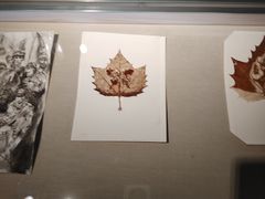 -临沂市博物馆