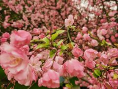 -南京市江宁方山