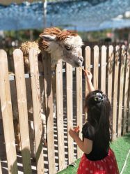 -萌宠亲子动物乐园(槐房万达店)