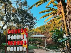 -桃源山庄·水蜜桃采摘·柴火鸡·烧烤团建(龙泉山店)
