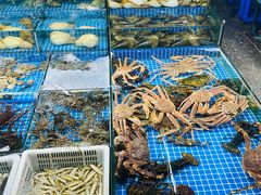 -霞涌市场海鲜摆卖区