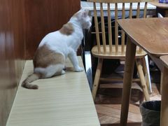 -青石桥老瓦房肥肠粉总店(青石桥总店)