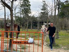 -广东花都香草世界旅游度假区