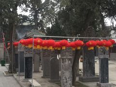 -关林