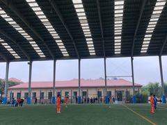 -山东鲁能乒乓球学校