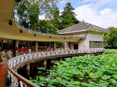 -荔湾湖公园