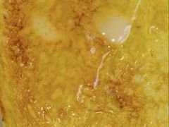 -澳洲牛奶公司(佐敦店)