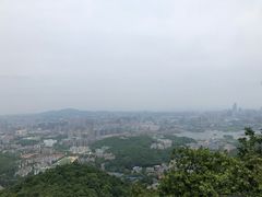 -茶颜悦色(岳麓山顶店)
