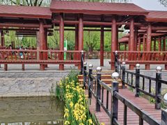-古塔公园