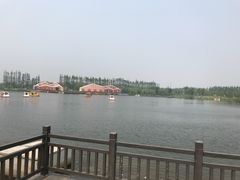 -上海长兴岛郊野公园