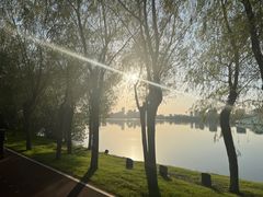 -艾溪湖湿地公园