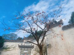 -婺源风景区