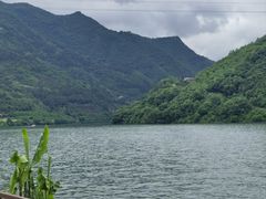 -后柳水乡