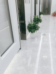 -悟空祛痘·诺奖技术专业店