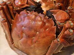 -大鸭梨烤鸭(枣园店)