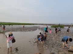 -南汇嘴观海公园