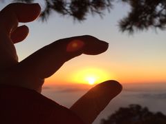 白云宾馆-黄山白云宾馆