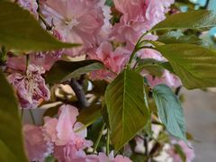 -南堂馆·新川菜(春熙路店)