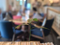 -良木缘咖啡西餐(蜀汉路店)