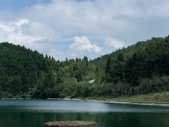 -武陵山森林公园