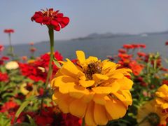 -池州市平天湖风景区