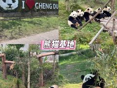 -成都欢乐谷