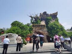 -大槐树寻根祭祖园
