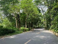 -火炉山森林公园