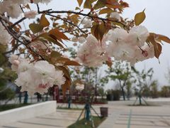 -天生桥景区