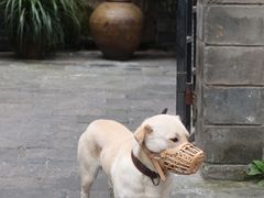 -夹夹大·蟹蟹大排档(财富又一城店)