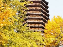 -玲珑塔公园