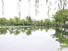 -无锡蠡湖国家湿地公园-蠡园