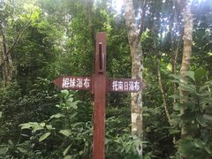-海南热带雨林国家公园吊罗山景区