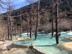 -黄龙山原始森林景区