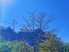 -海口万豪·大堂吧·望海吧.日落海景·下午茶·奶茶·咖啡·轻食·蛋糕·鸡尾酒·清吧