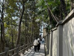 -上海佘山国家森林公园西佘山园