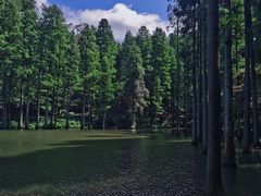 -波尔登森林公园