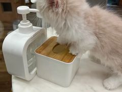 -袖虎·猫馆(体育西路店)