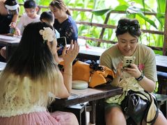 -大象粑粑造纸公园