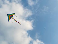 -春花秋色城市公园