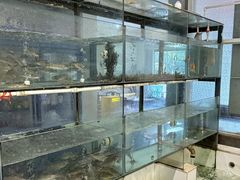 -小乡小镇·传承桐庐土菜·老板亲自烧的菜